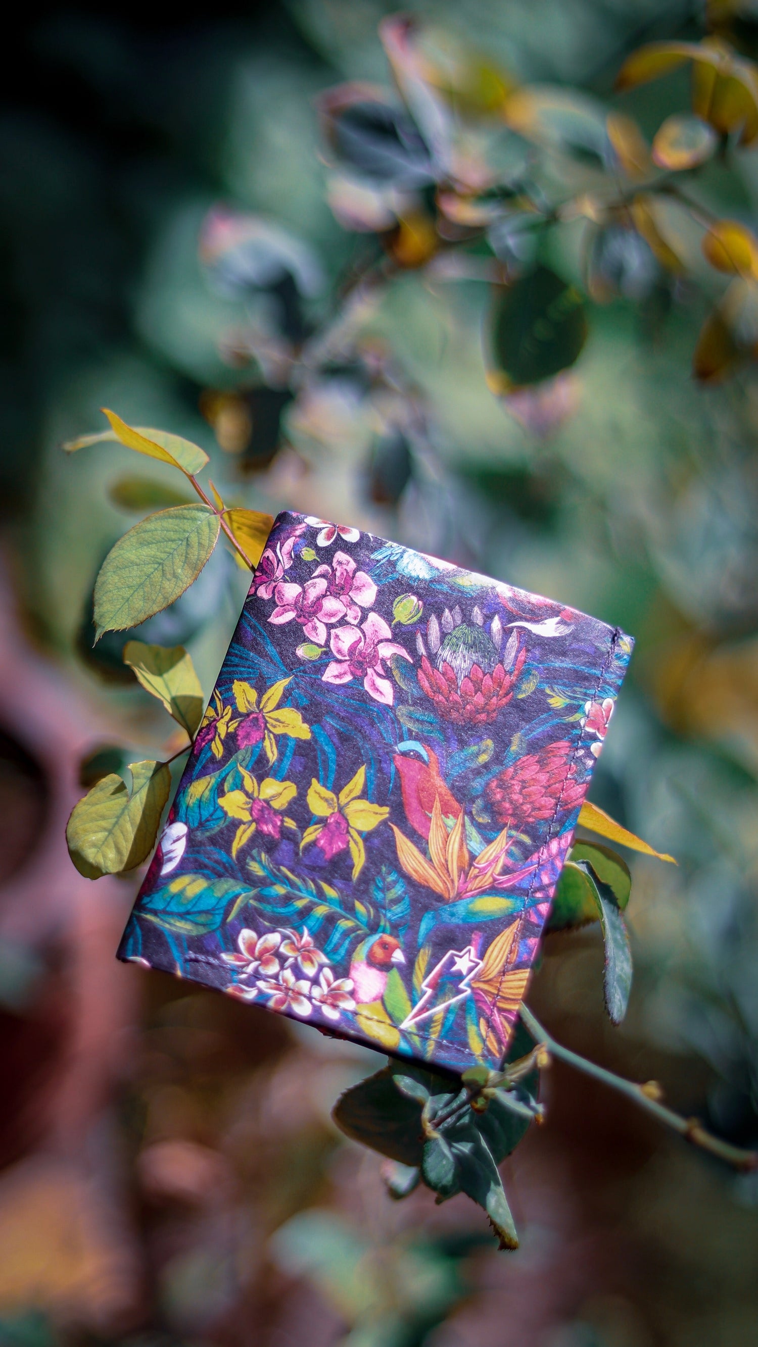 Stand Out: Supervek x Lidija Paradinovic